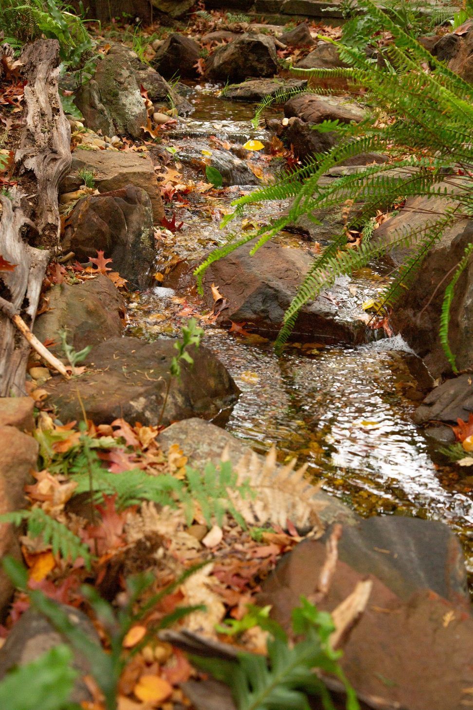 Crafers English Brook