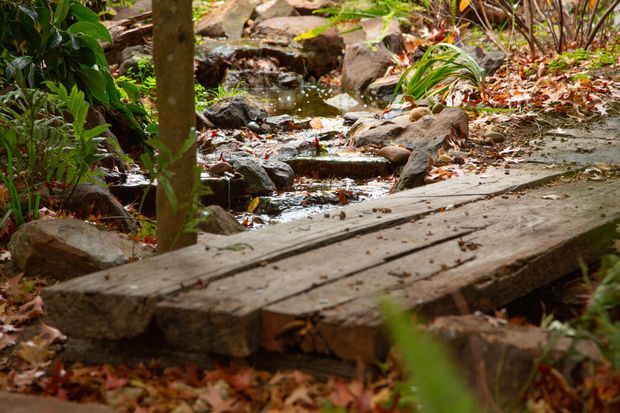 A rustic timber footbridge crosses a shallow, rock-lined creek in a densely planted garden or natural woodland setting. Fallen leaves, ferns, mossy rocks, and lush foliage create an organic, secluded landscape scene.