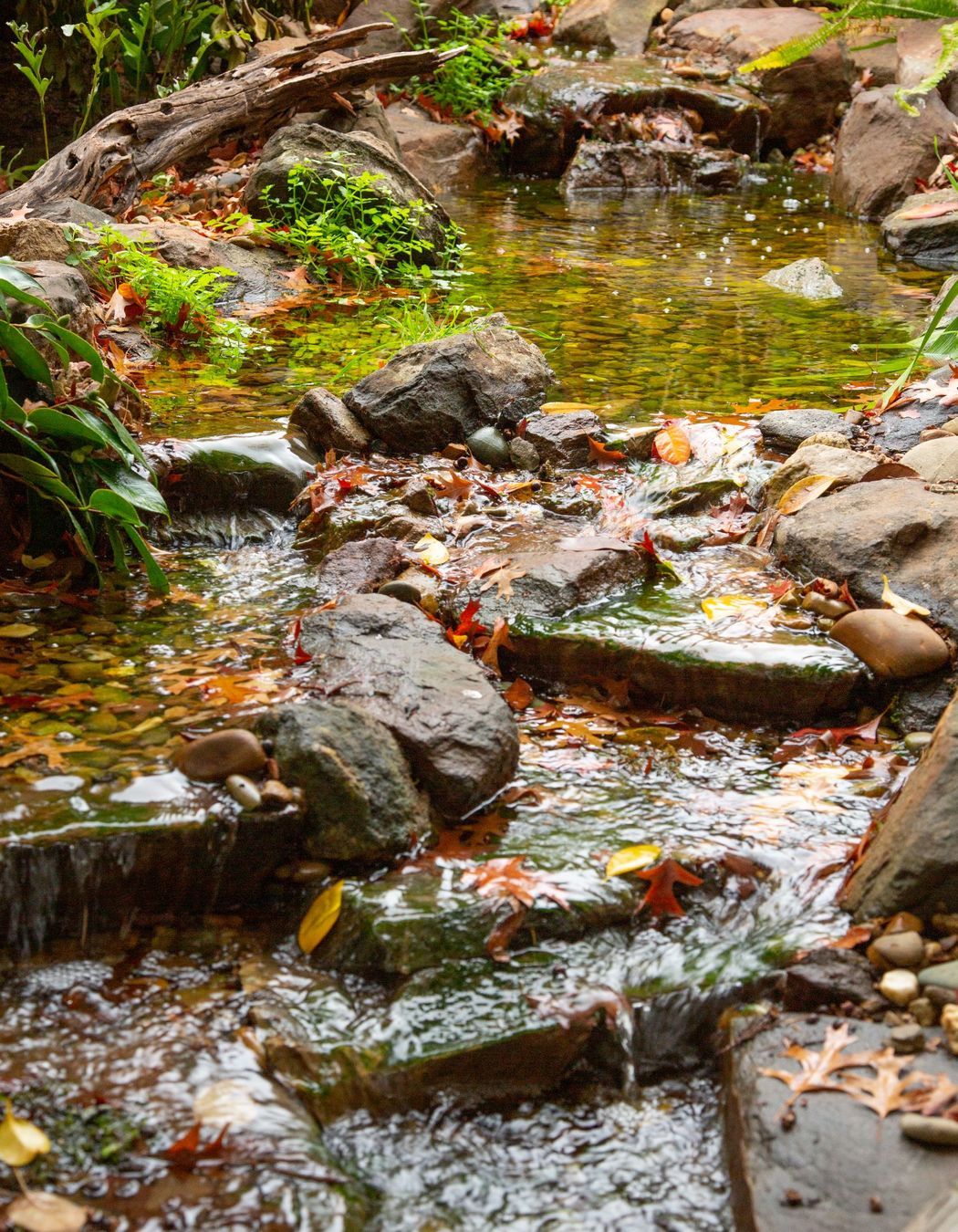 Crafers English Brook