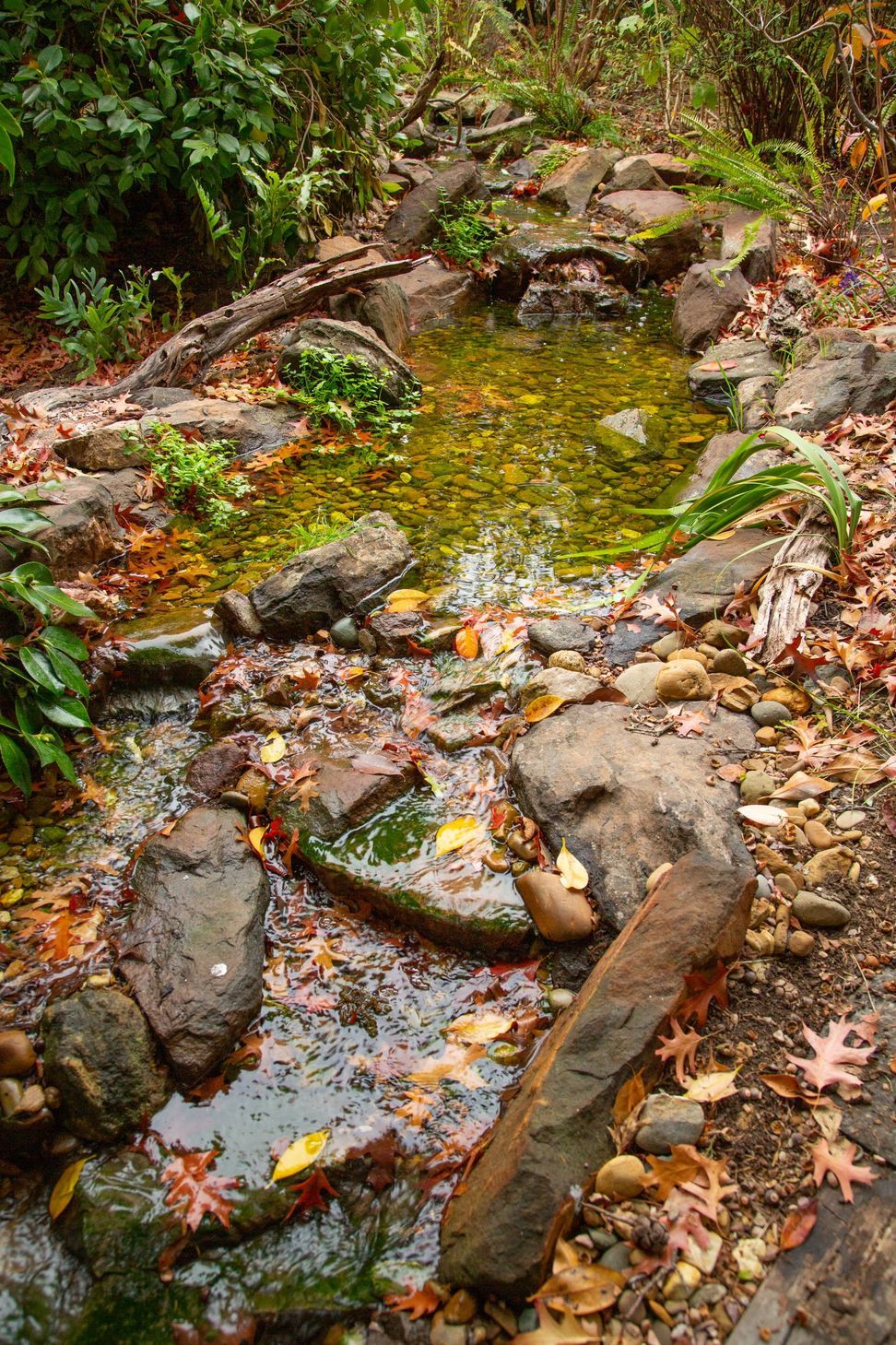 Crafers English Brook