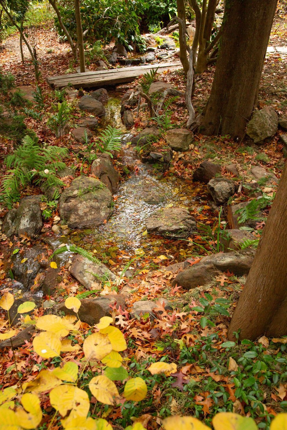 Crafers English Brook