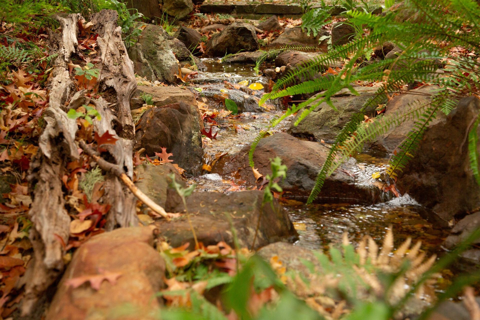 Crafers English Brook