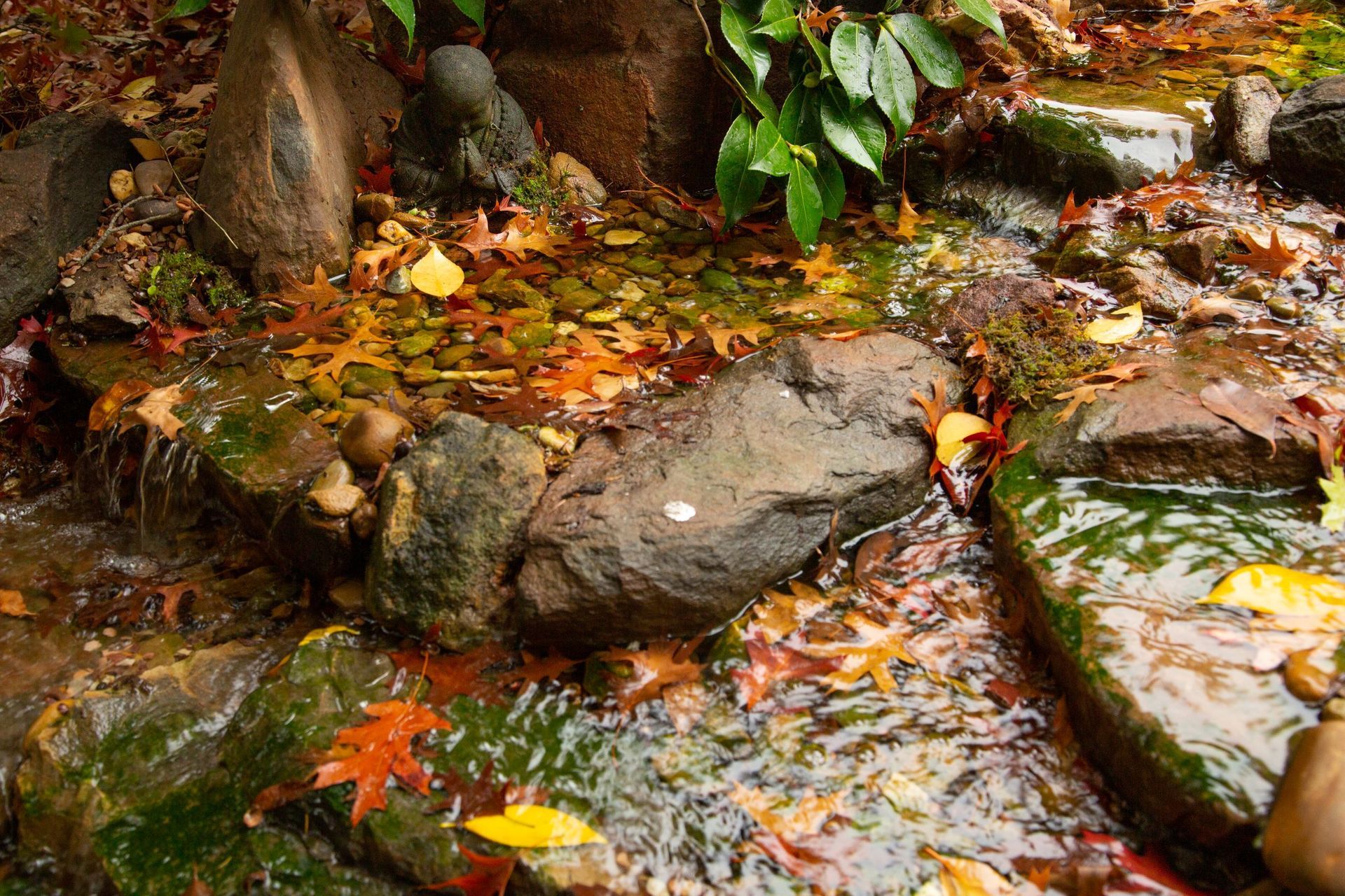 Crafers English Brook