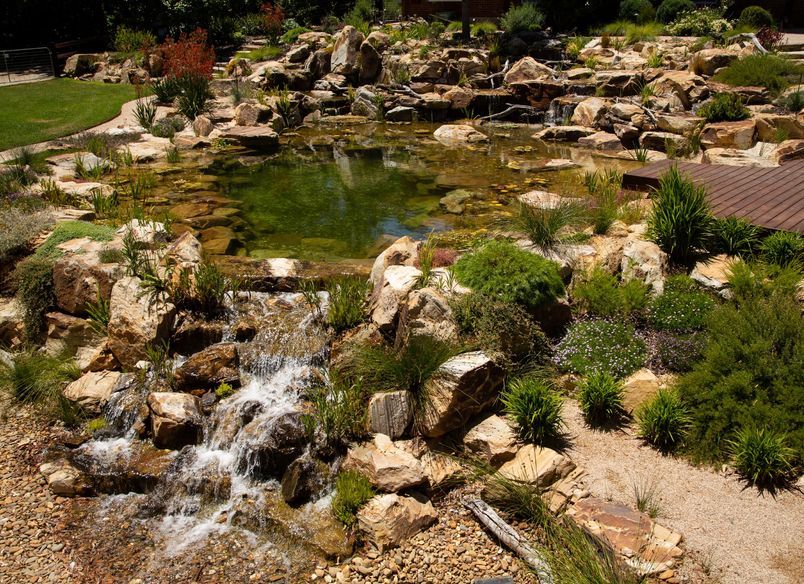 Crafers Aquatic Habitat