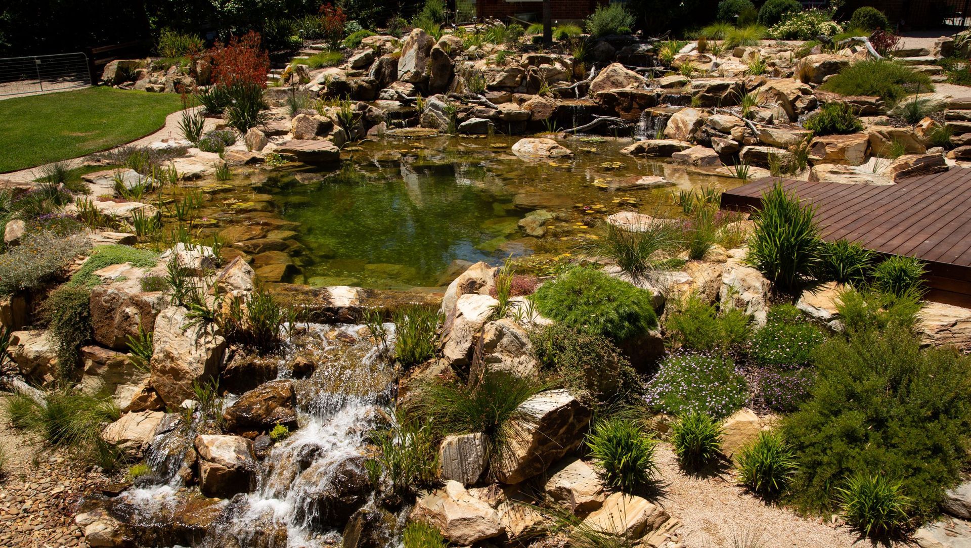 Crafers Aquatic Habitat banner