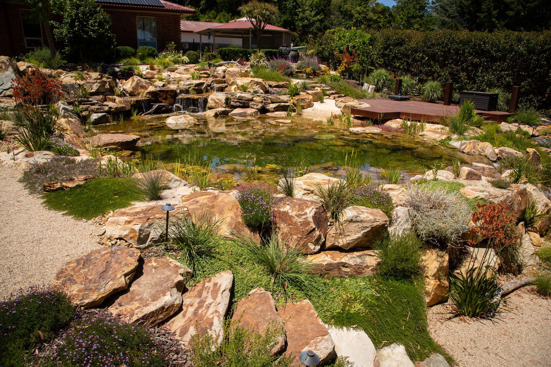 Crafers Aquatic Habitat