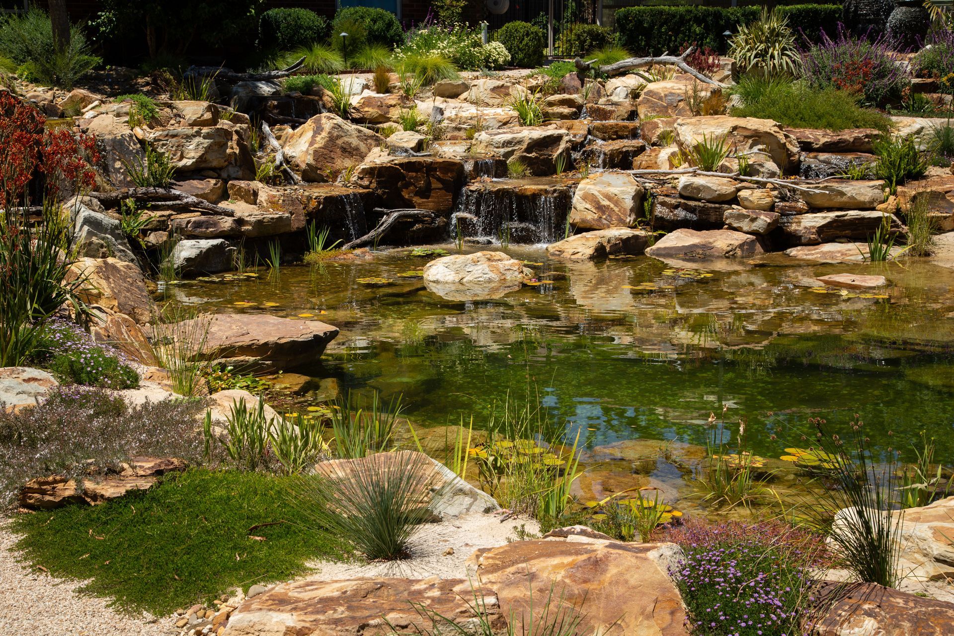 Crafers Aquatic Habitat