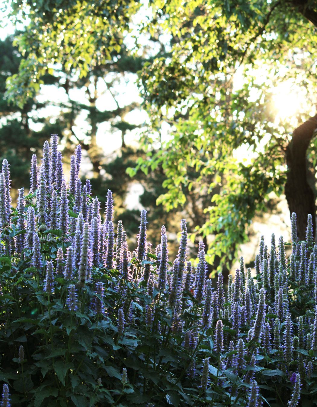 Photography: Bethany Williamson