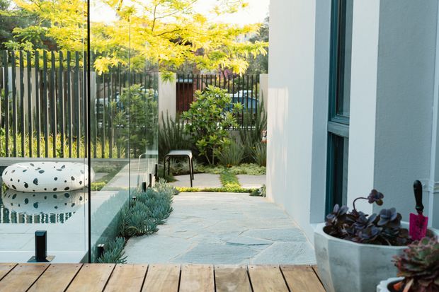 A bright contemporary outdoor courtyard viewed from a timber deck, with a glass pool enclosure at left, pale stone paving, sculptural planting, a dark vertical-slat boundary fence, and white rendered walls with large dark-framed glazing. The courtyard includes a small seating area and abundant landscaped greenery.