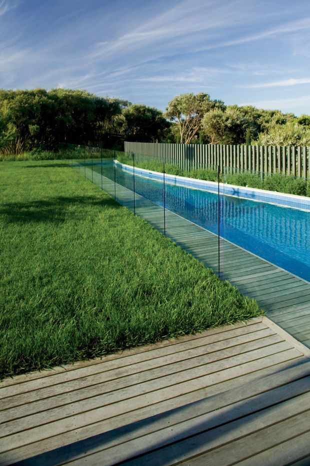 A landscaped outdoor pool area with a long narrow blue swimming pool bordered by frameless glass safety fencing and timber decking. A broad lawn, dense coastal-style vegetation, and a vertical timber privacy fence surround the pool under a bright blue sky.
