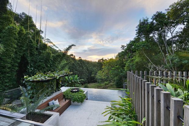 A landscaped outdoor terrace overlooking dense native vegetation, with a pale paved surface, built-in timber seating, lush tropical planting, and a dark-edged infinity pool or reflecting pool. A vertical timber privacy fence lines the right side, while the scene opens toward a forested valley beneath a softly lit sky.
