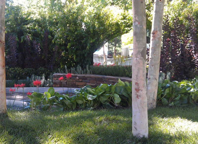 Out of The Ashes - Melbourne International Flower and Garden Show 2013