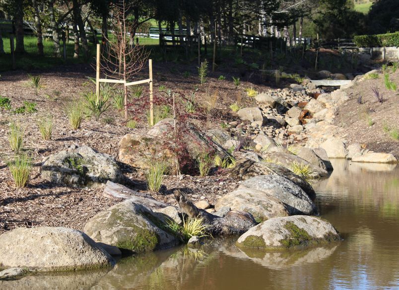 Beautiful Stormwater