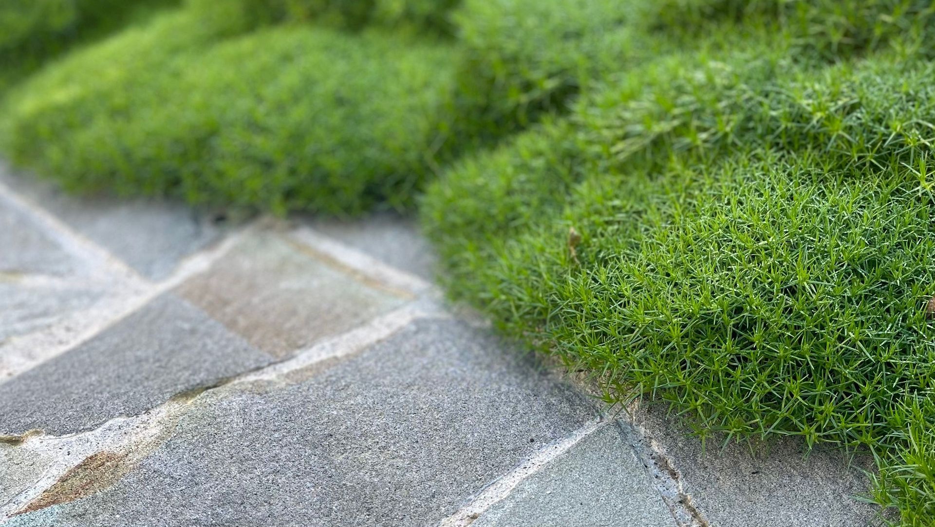 City Sanctuary banner