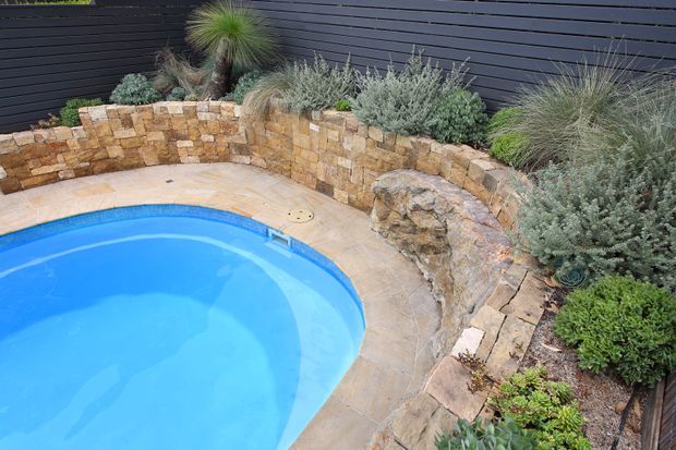 A landscaped residential pool area with a curved bright-blue swimming pool, warm natural-stone paving and retaining walls, a small stone waterfall feature, and dense drought-tolerant ornamental planting against a dark horizontal slatted fence.