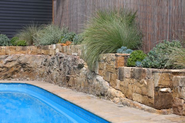 A landscaped pool edge with bright blue water, a paved coping, and layered rough-stone retaining walls. Drought-tolerant ornamental grasses and succulents fill raised garden beds against dark horizontal cladding and a reed screening fence.