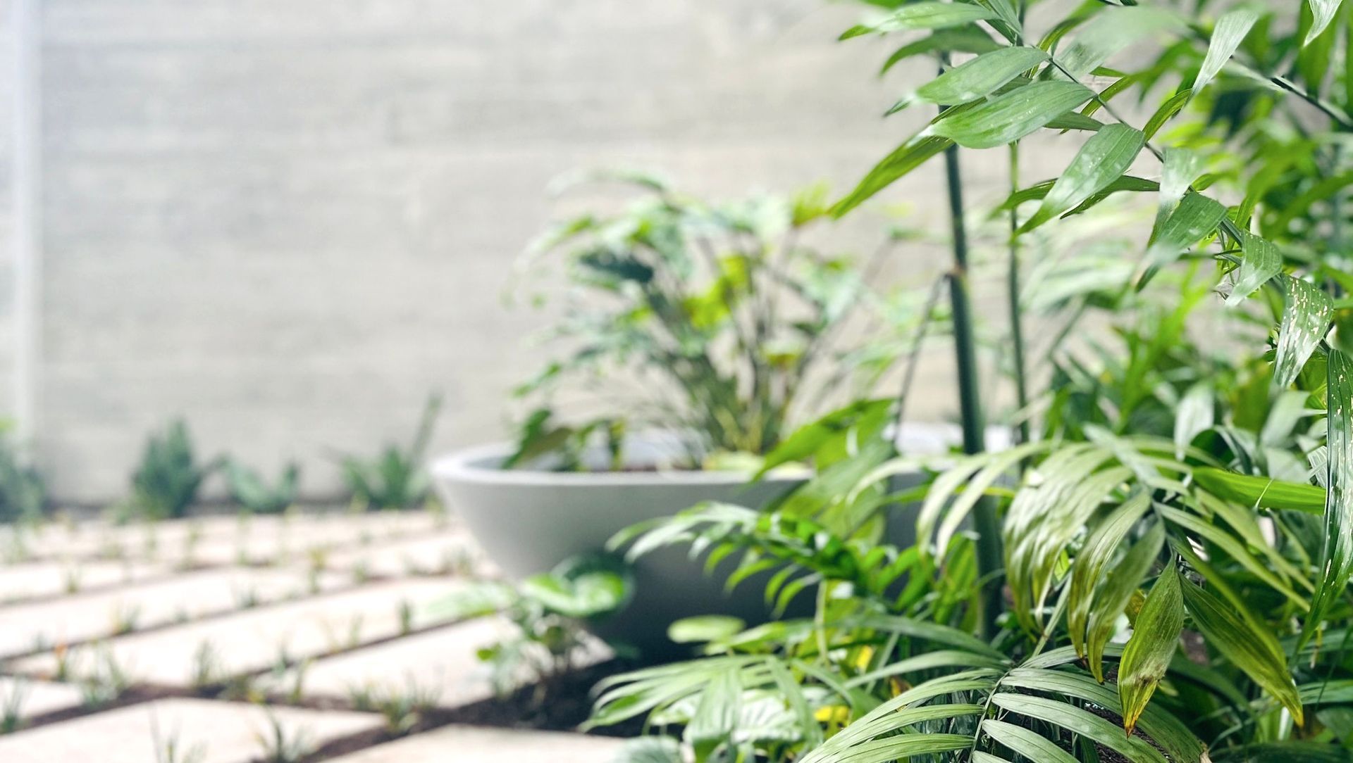 Shared Entrance banner