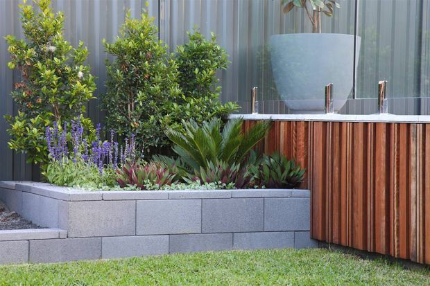 A contemporary landscaped outdoor area featuring raised grey masonry planters filled with dense shrubs, flowering plants and succulents. Behind the garden is a corrugated metal wall and a curved timber-clad structure or built-in feature with a clear glass balustrade and large frosted-glass panel. A lawn occupies the foreground.