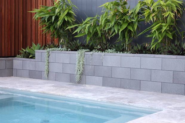 A landscaped pool edge beside a raised garden bed constructed from grey concrete masonry blocks. Layered green bamboo and trailing plants soften the retaining wall, with a vertical timber screen and dark cladding behind. The foreground shows pale stone paving and clear blue pool water.
