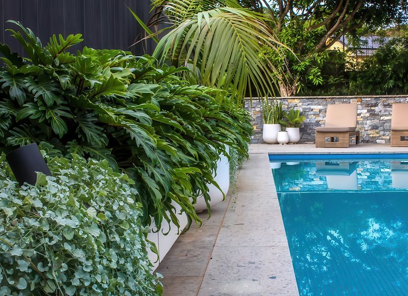 Chatswood | Landscape Design & Creation