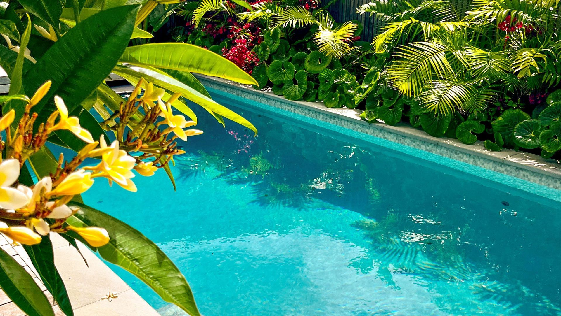 Hello Sunshine banner