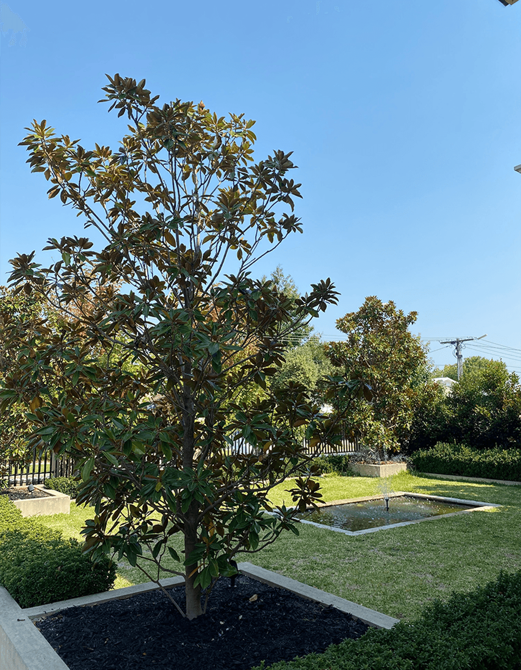 Beautiful Bentleigh Build