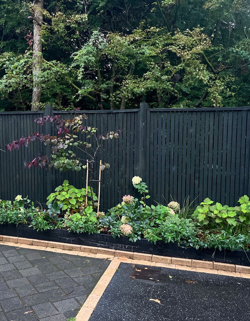 Taupo Driveway Refurbishment