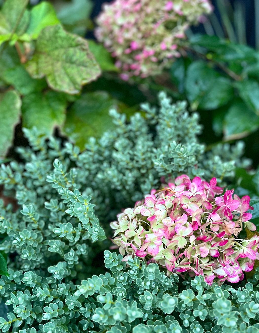 Taupo Driveway Refurbishment