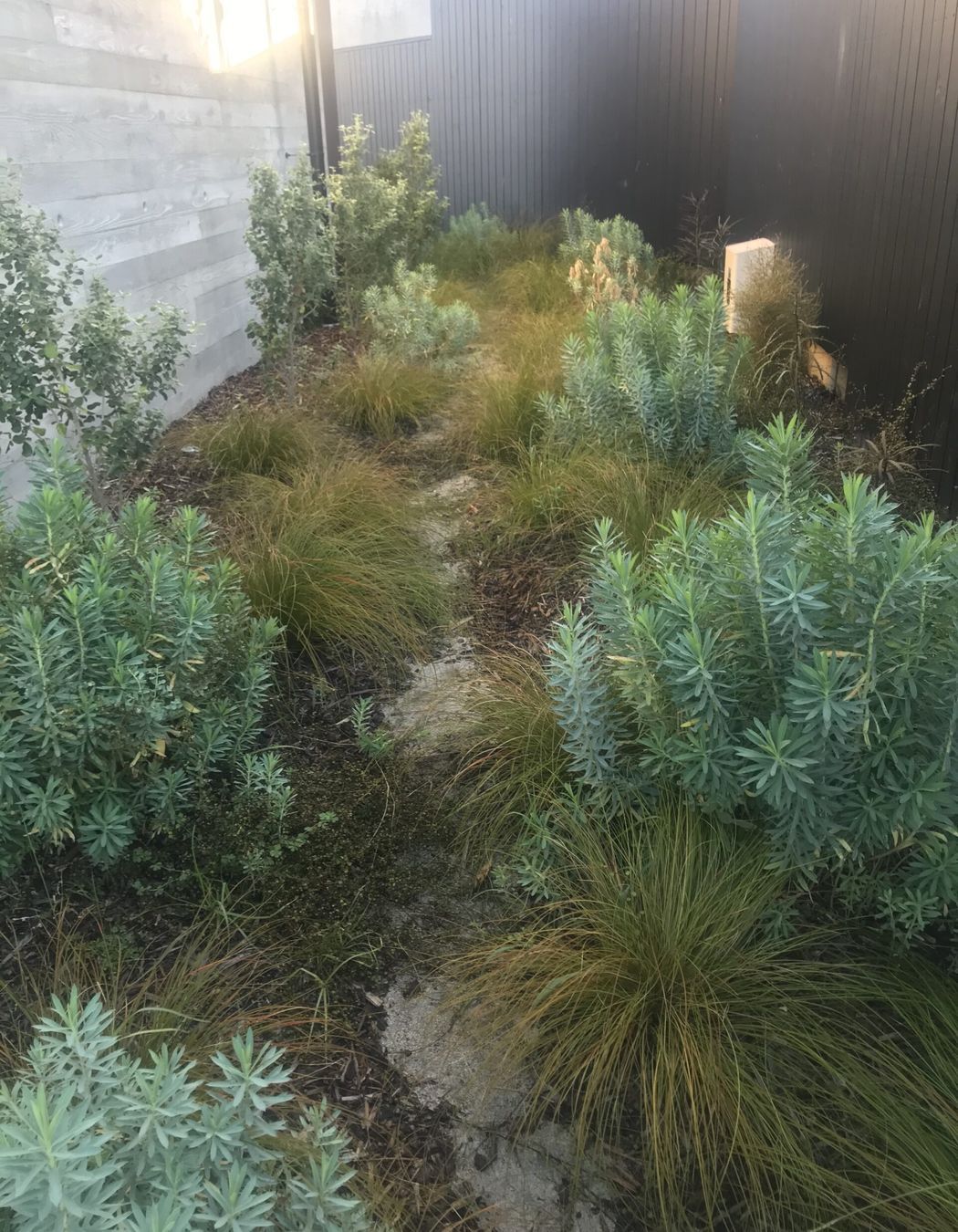 Native Planting Theme