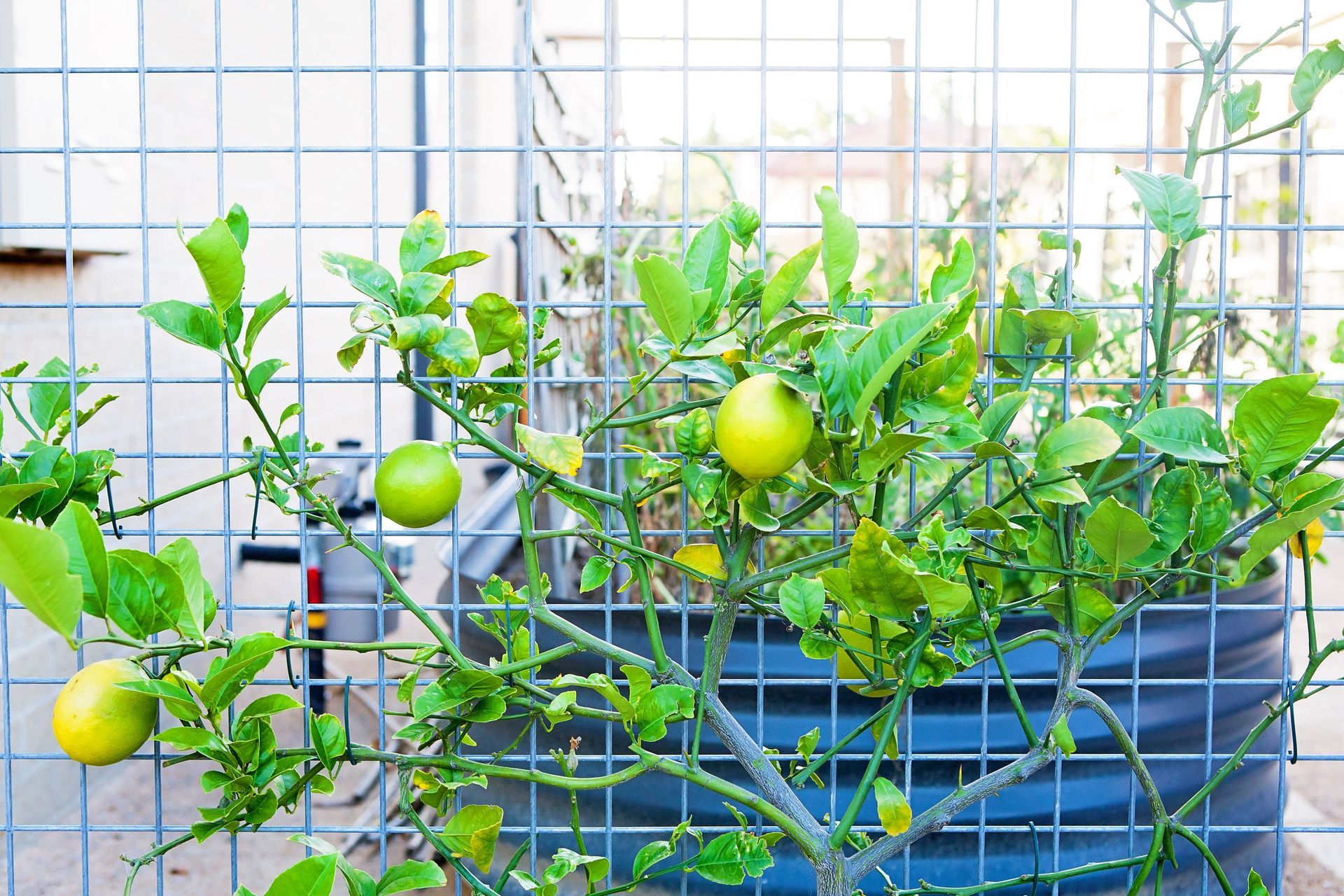 Photography: Leanne Bertram Photography