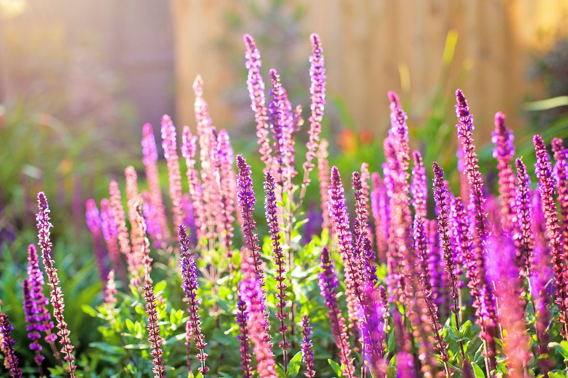 Photography: Leanne Bertram Photography