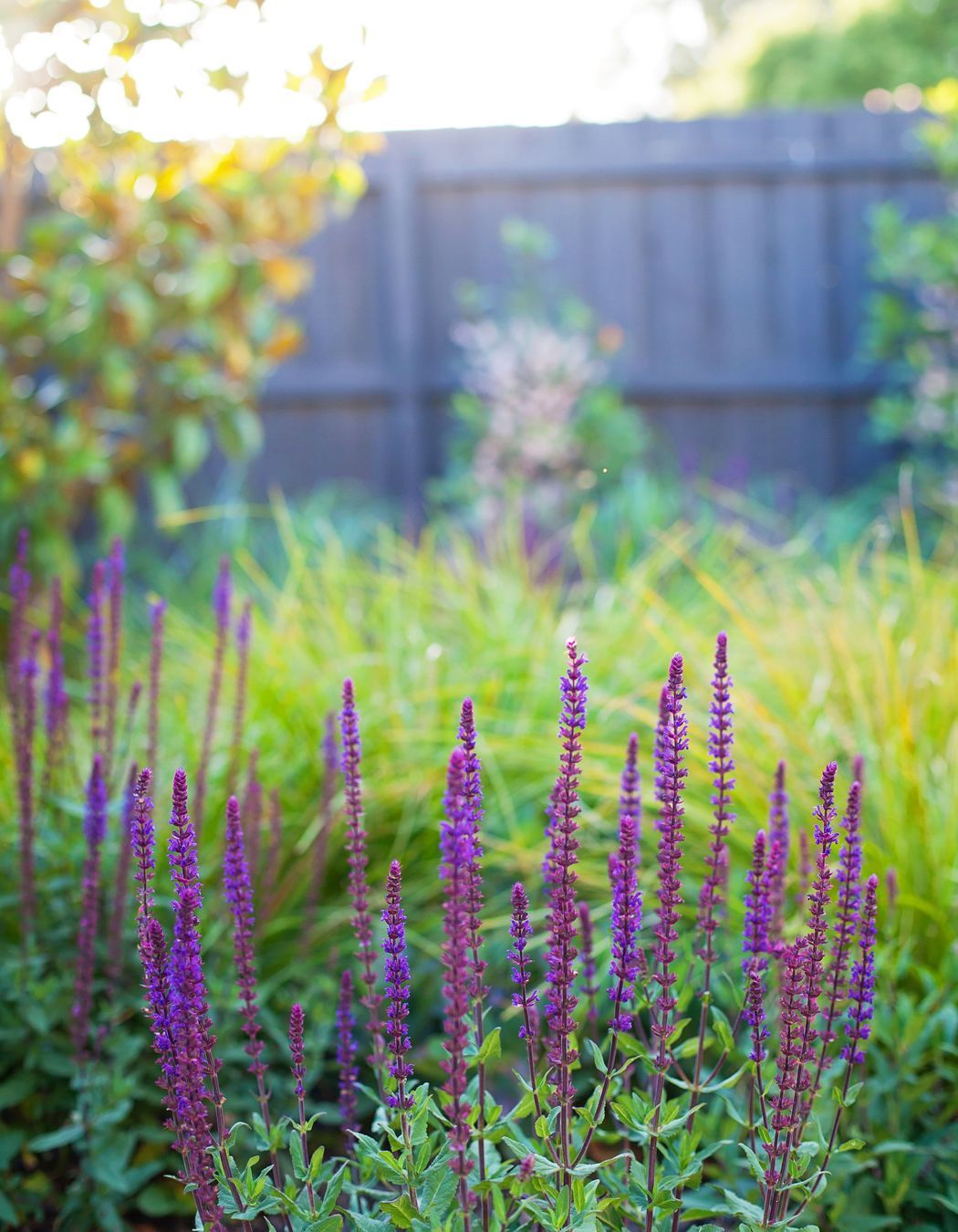 Photography: Leanne Bertram Photography