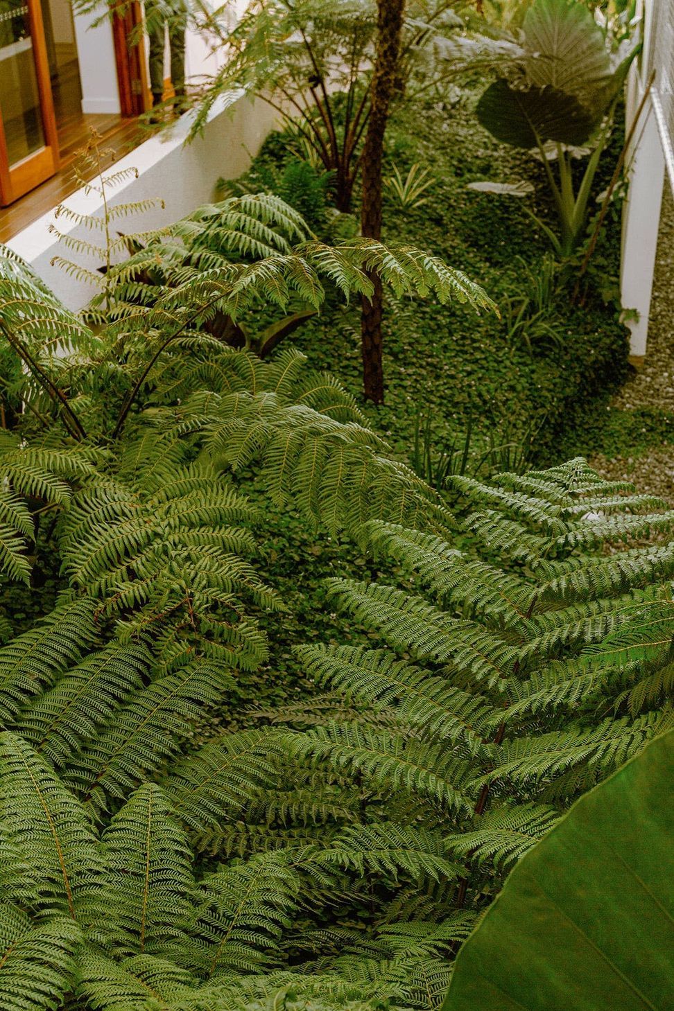 Image-1-05.jpg
