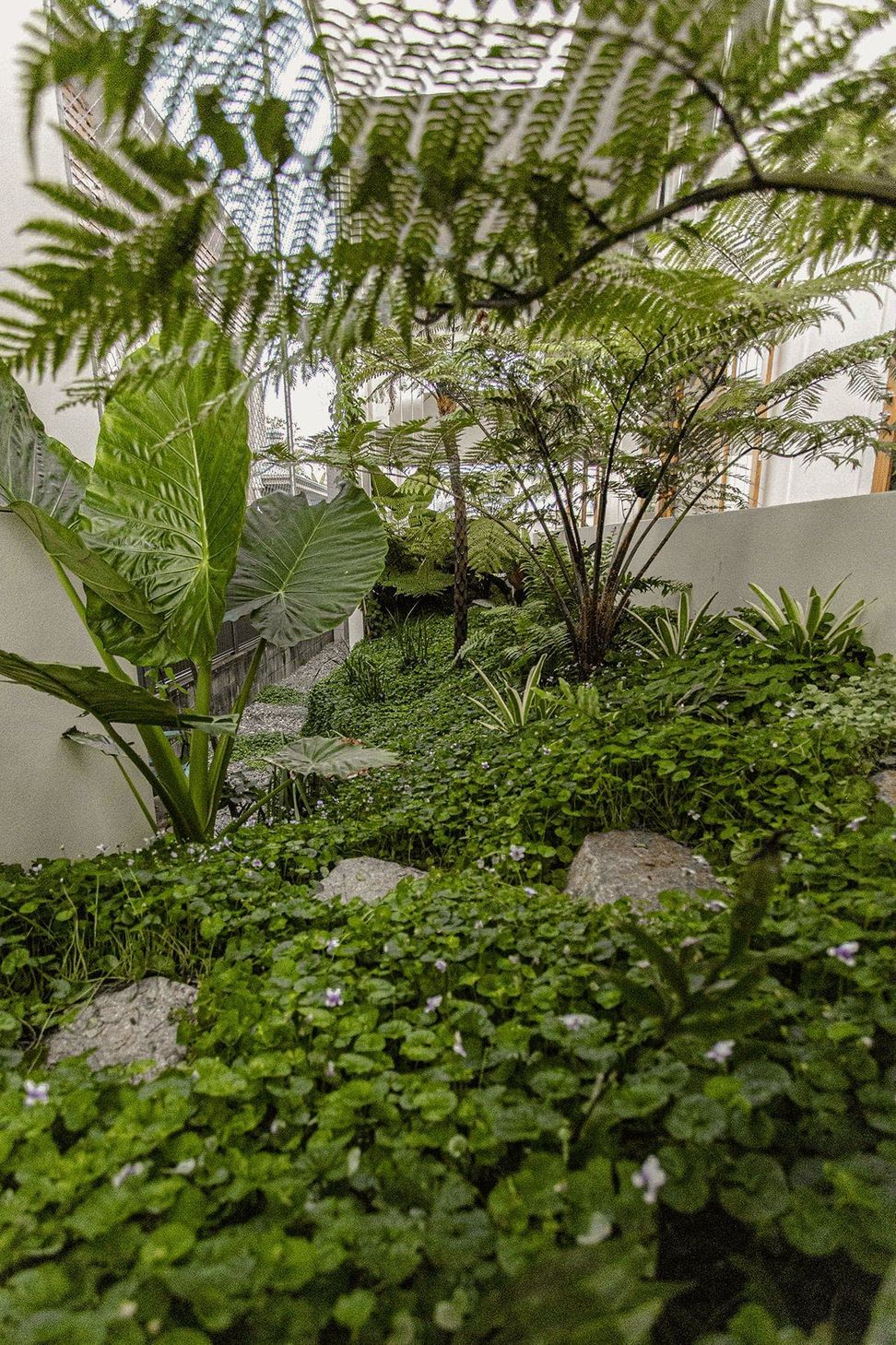 Image-1-07.jpg