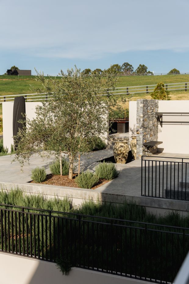 A contemporary landscaped residential courtyard or terrace viewed from an elevated position. The space features pale concrete paving and walls, black metal railings, a central olive tree with low Mediterranean-style planting, a natural stone-clad outdoor fireplace or feature wall, and a built-in bench. Open pastoral fields and fencing are visible beyond the property.