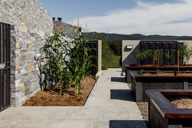 A landscaped outdoor courtyard with a pale concrete-paved walkway between a textured natural stone wall and raised timber garden beds. Corn plants and small trees soften the contemporary dark-clad garden structures, with wooded hills visible beyond.