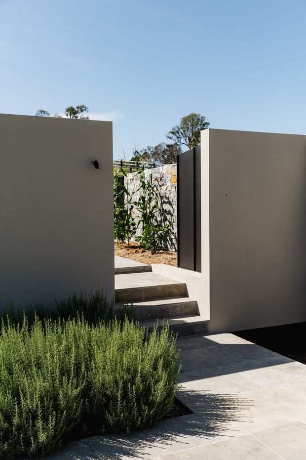 A modern landscaped courtyard or garden passage with tall smooth rendered walls, a dark vertical gate or door, concrete steps, and pale paved surfaces. A rough natural-stone retaining wall and dense rosemary-like planting soften the minimalist architectural setting. Bright sunlight creates strong shadows beneath a clear blue sky.