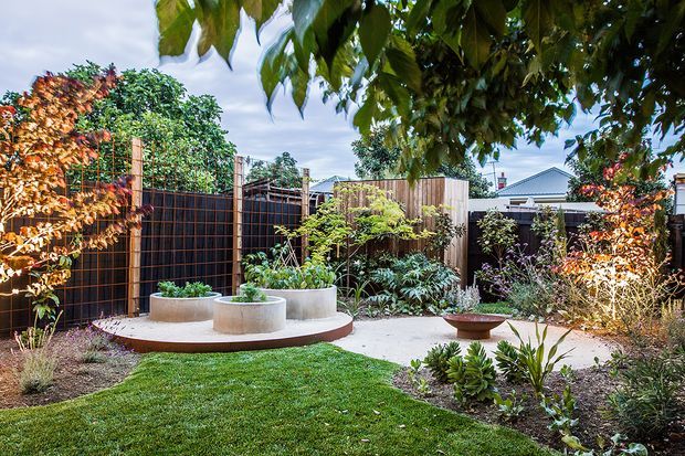 A landscaped residential courtyard garden with a curved raised concrete planter and seating-like ledge, integrated circular planting beds, lush layered greenery, timber and dark metal privacy fencing, and a small lawn. The garden is enclosed by neighboring residential structures and framed by mature foliage overhead.