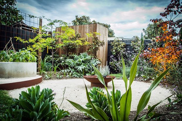 A landscaped residential courtyard or garden with dense layered planting, raised concrete planters, a curved concrete seating or retaining element, a pale paved surface, and a vertical timber privacy fence. The scene has a lush, contemporary garden design with a mix of broad-leaf plants, grasses, shrubs, and small trees.