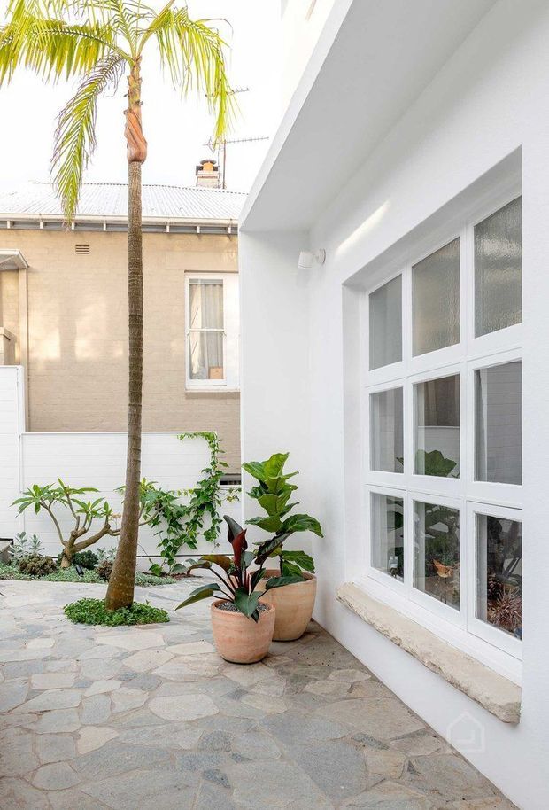 Bright courtyard exterior beside a white rendered building, featuring large white-framed multi-pane windows, irregular natural stone paving, terracotta planters, and tropical landscaping including a tall palm. A neighbouring rendered brick building is visible beyond the courtyard.