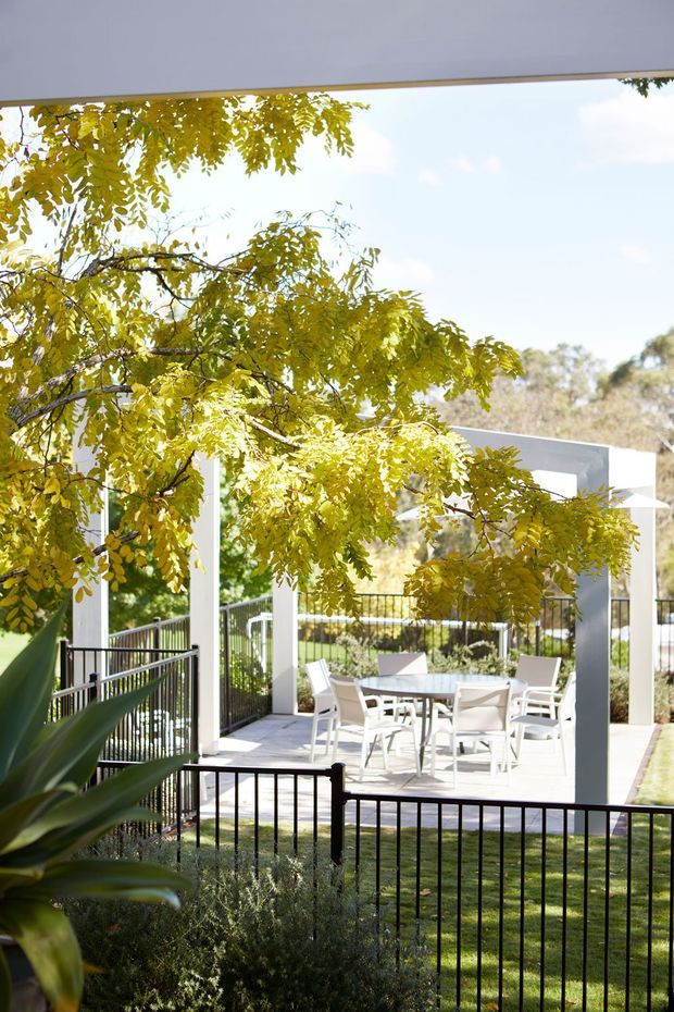 A bright outdoor entertaining terrace beside a modern home, with a white flat-roofed pergola or covered patio, dining table and chairs, black metal railings, pale paving, and landscaped garden. Overhanging leafy trees frame the view, while the open structure and glazing connect the patio to the surrounding garden.