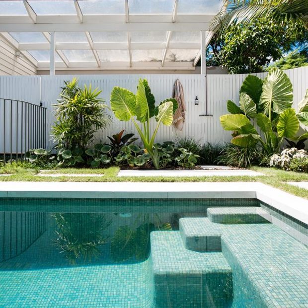 Bright tropical courtyard with a compact tiled swimming pool, integrated submerged entry steps and bench seating, surrounded by lush foliage. A white vertical-panel boundary fence and a translucent covered pergola create a sheltered, resort-like outdoor setting.