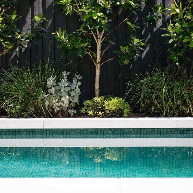 A close-up landscaped pool edge with turquoise water, small square mosaic pool tiles, a white coping band, and a dense planted garden bed against a dark vertical timber fence. The planting includes a central small tree, grasses, and low shrubs, creating a lush, contemporary outdoor setting.