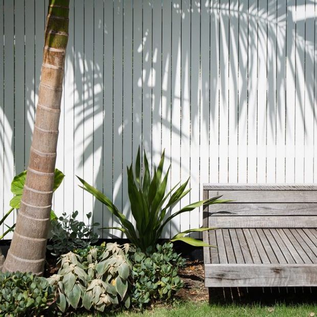 A bright landscaped outdoor area with a vertical white-painted timber slat fence, tropical and succulent planting, and a weathered timber bench or low deck seat. Strong sunlight casts leafy shadows across the fence and seating.