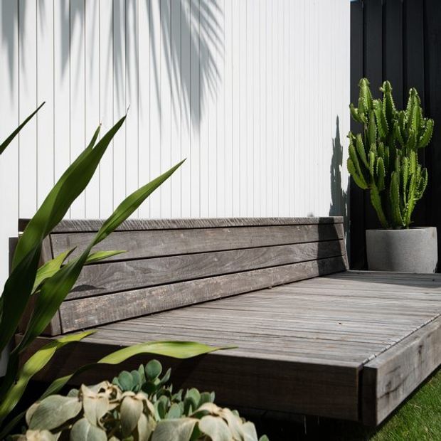 A sunlit outdoor timber deck with built-in bench seating, surrounded by architectural planting. The deck and bench use weathered grey-brown timber, backed by a white vertically ribbed wall and a dark contrasting wall section. Large leafy plants, succulents and a potted cactus add a natural, relaxed atmosphere.