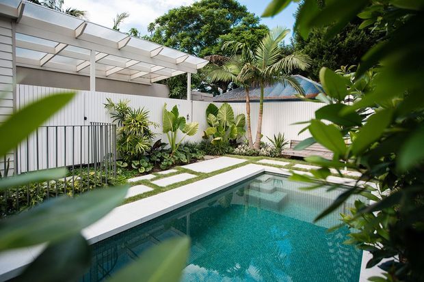A tropical landscaped pool courtyard viewed through foreground foliage. The compact rectangular pool has turquoise water and a pale paved edge, bordered by geometric stepping stones, lush palms and broad-leaf planting. A white slatted boundary fence and a contemporary pergola with translucent roofing define the space, with a neighbouring tiled roof visible beyond.