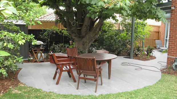 A landscaped outdoor courtyard patio with a large mature tree, pale paved flooring, timber outdoor dining furniture, garden planting, and timber privacy screens. The space appears to be a sheltered residential entertaining area.