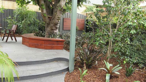 A landscaped courtyard or garden area with curved concrete steps edged in dark trim, a raised timber planter or built-in bench surrounding a mature tree, and dense planting. A pale green post and dark fencing frame the space, with a timber outdoor chair on the paved terrace.