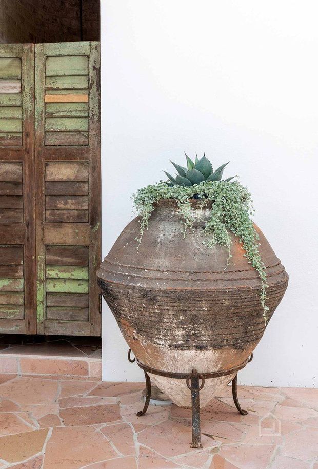 A rustic terracotta planter with a weathered, patinated surface stands on a dark metal tripod base, holding succulents and trailing greenery. It sits on a terracotta-tiled floor beside aged timber shutters and a plain white rendered wall, creating a Mediterranean-inspired courtyard or entry setting.