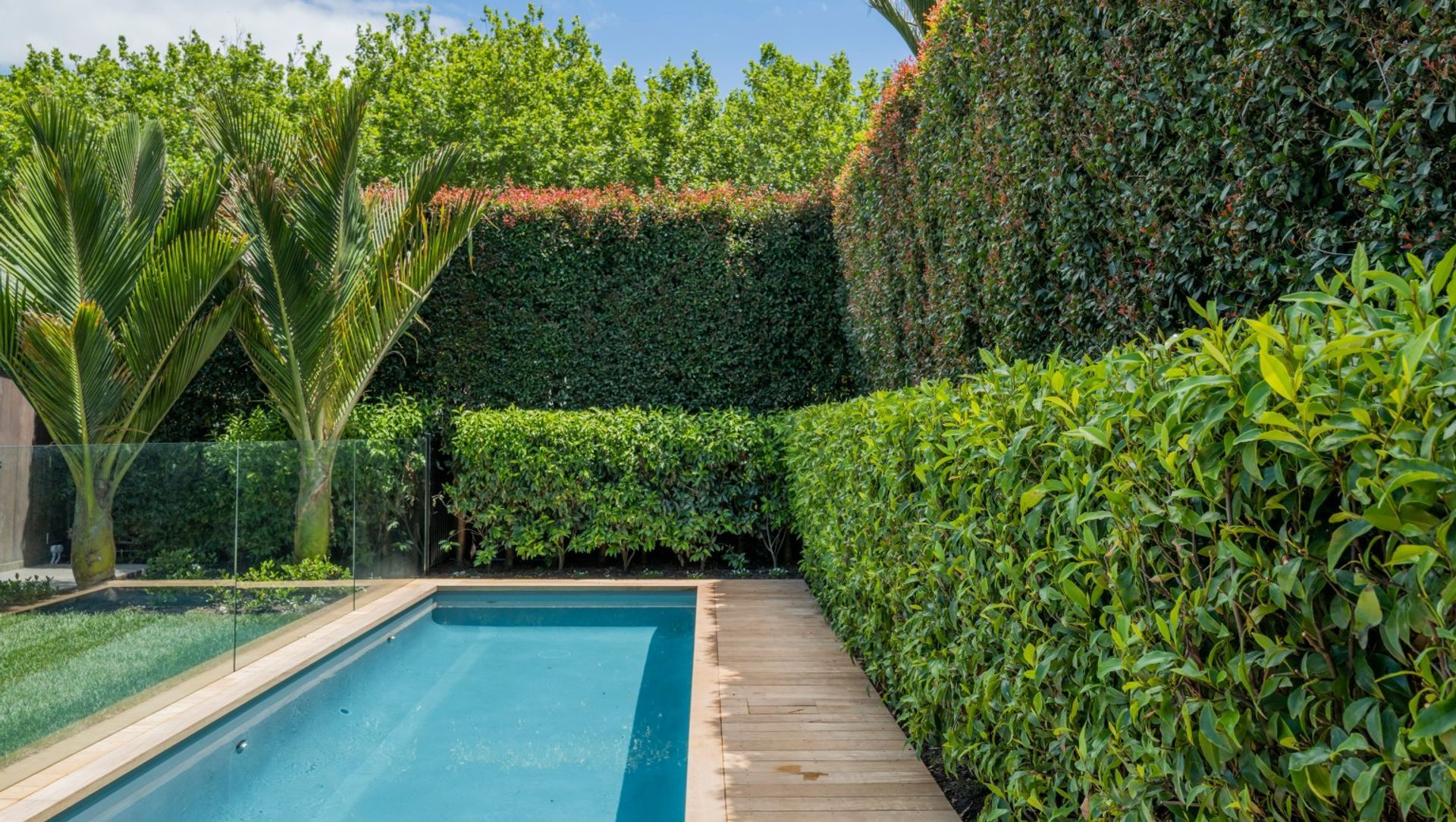 Wilton Street banner